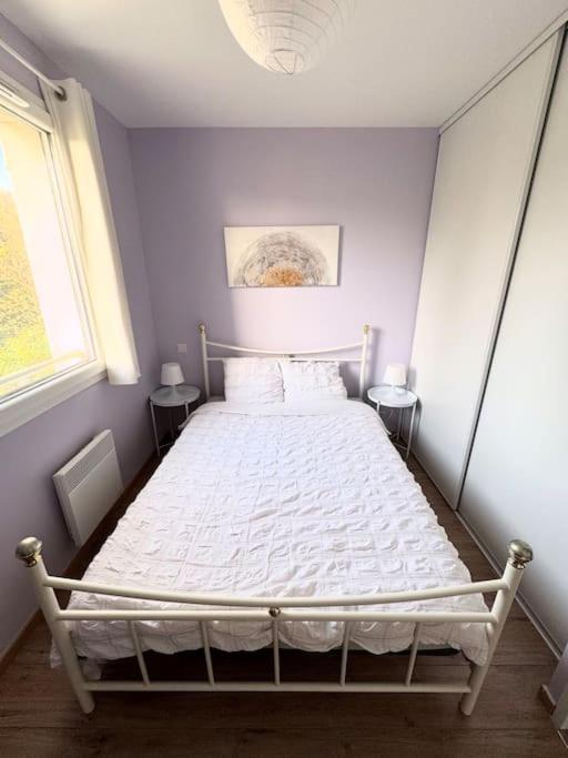 Maison Calme Avec Jardin Proche De ตูลูส ภายนอก รูปภาพ